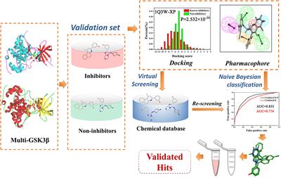 Integrating Machine Learning-Based Virtual Screening With Multiple Protein Structures and Bio-Assay Evaluation for Discovery of Novel GSK3β Inhibitors